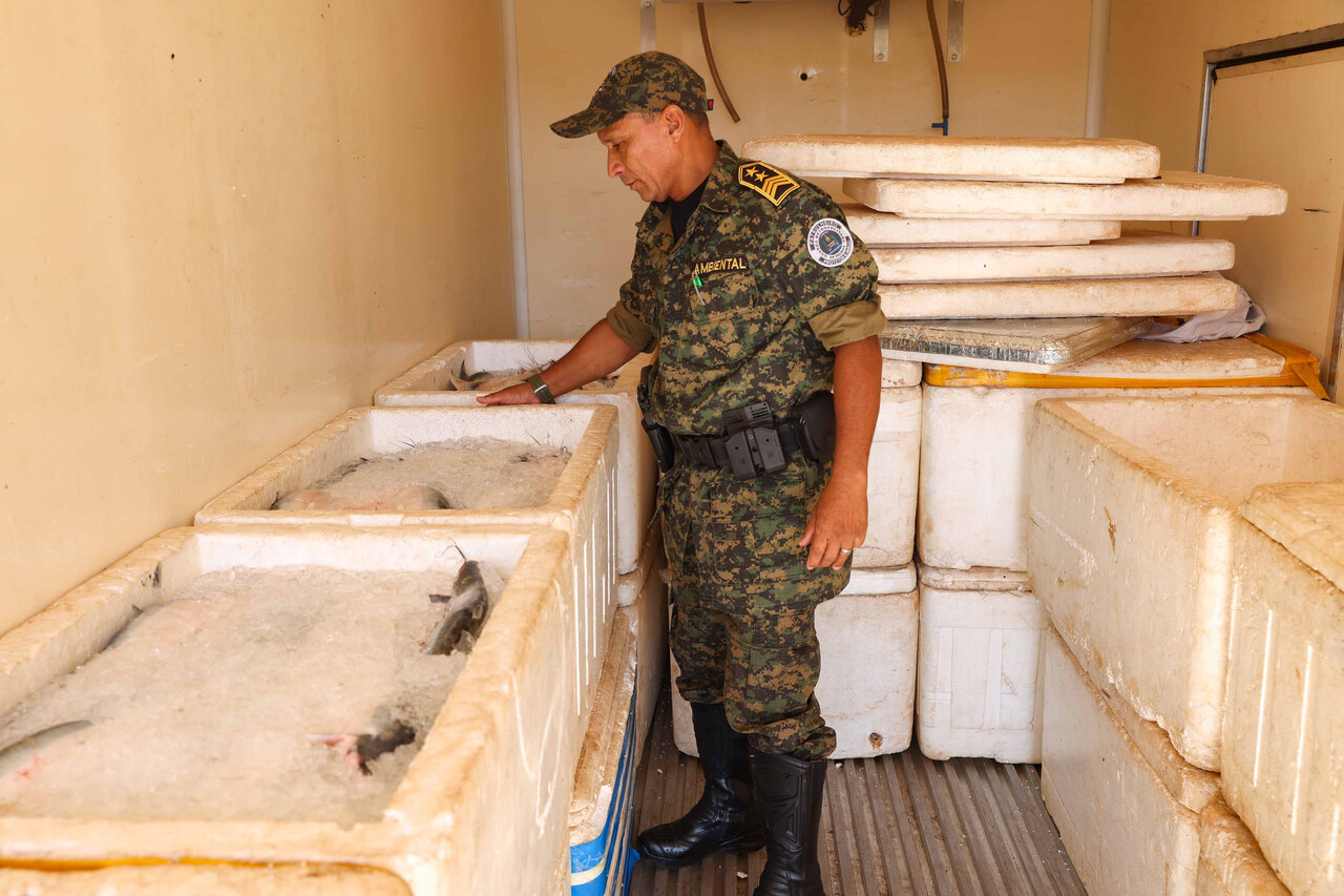 Quase duas toneladas de pescado ilegal foram apreendidas na região sul de Palmas pela GMP Ambiental
