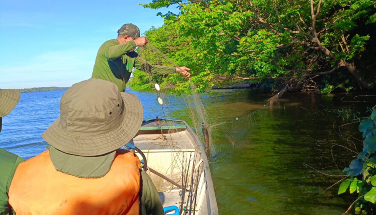 Operação Piracema: 200 quilos de pescado e 3 mil metros de redes de pesca são apreendidos durante ação em três cidades do Tocantins