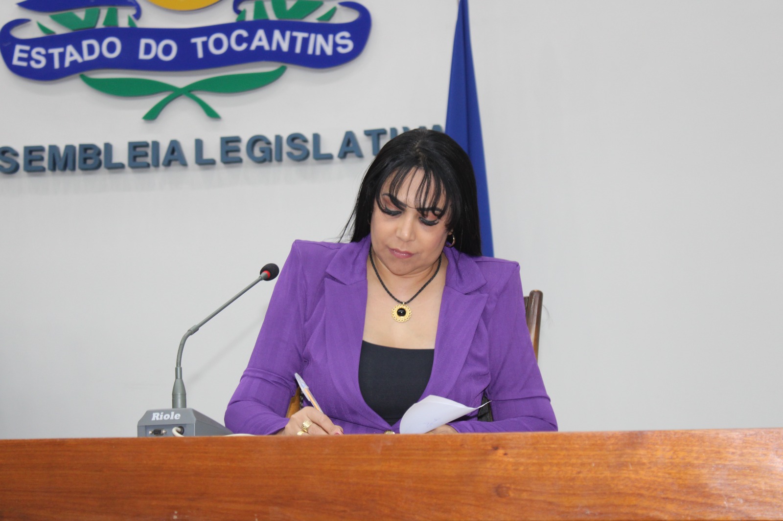 Janad Valcari requer concurso para a Agência de Tecnologia da Informação do Tocantins