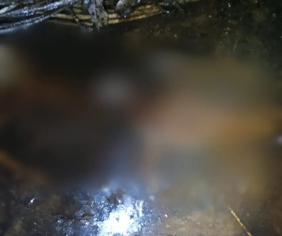 Corpo em avançado estado de decomposição é encontrado por cadela em chácara no município de Xambioá