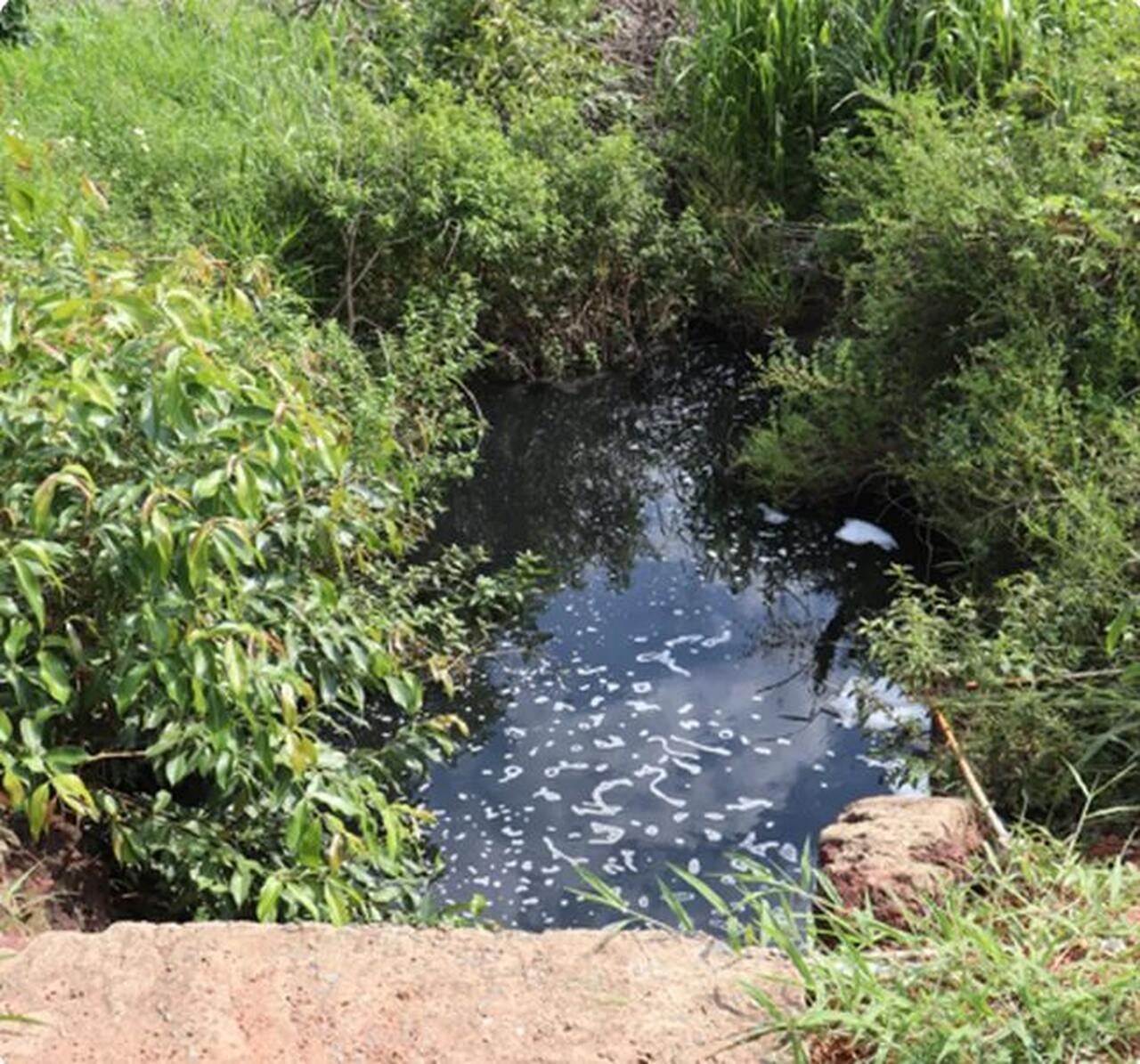 Prefeitura de Gurupi multa BRK Ambiental em mais de R$ 1 milhão por vazamento de esgoto; veja detalhes