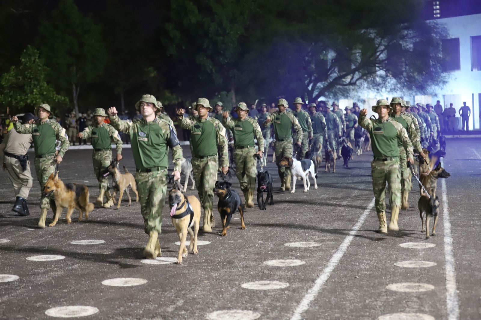 Emprego de cães farejadores na Polícia Militar – uma parceria contra o crime