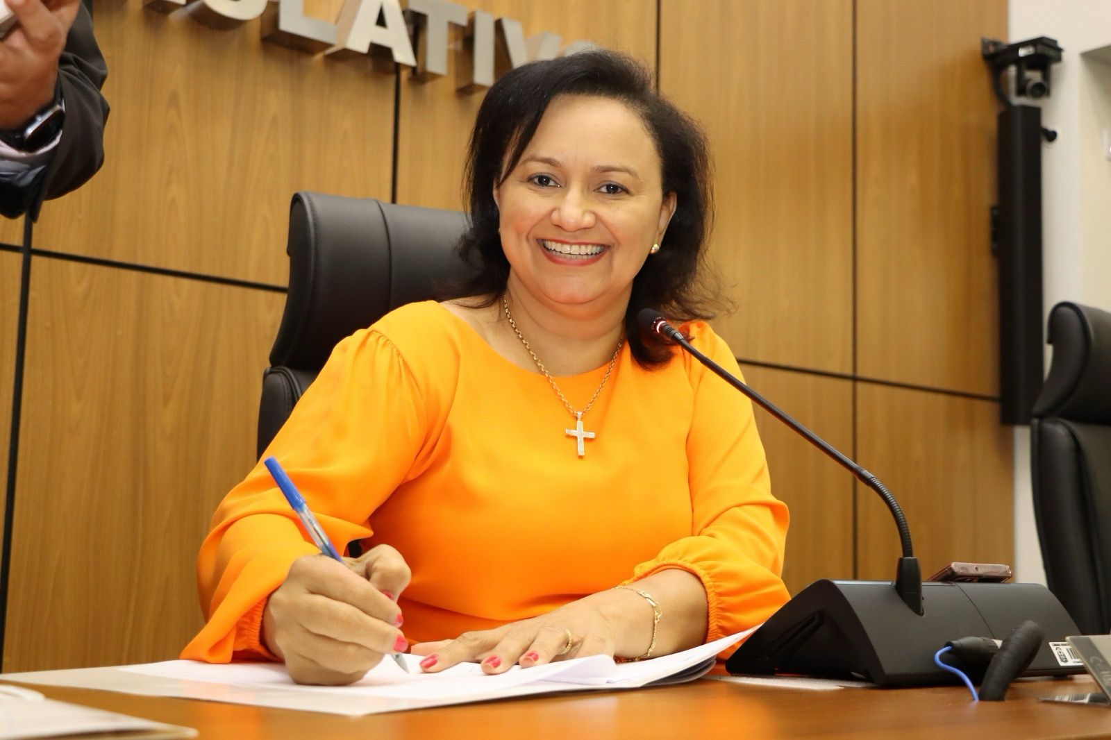 Vereadora Professora Iolanda Castro Protocola Requerimento para Pavimentação Asfáltica na Av. NS 02 Sul