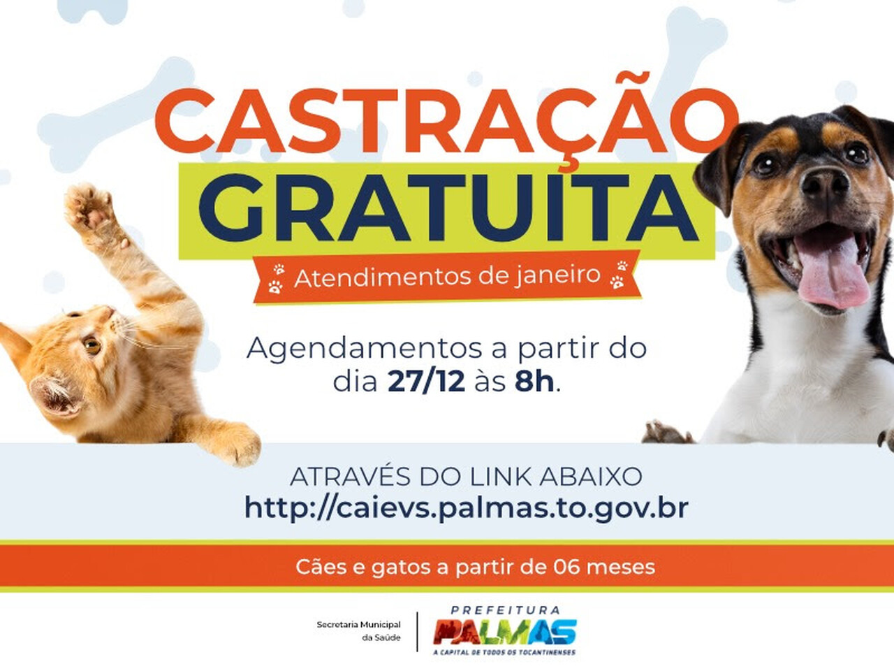 Atenção, 'pais de pets'! Agendamento para castração gratuita de cães e gatos inicia na próxima quarta-feira, 27, em Palmas; saiba como fazer