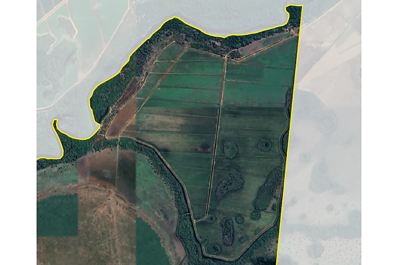 MPTO solicita a suspensão de atividades agropecuárias em propriedade rural de 300 hectares em Lagoa da Confusão