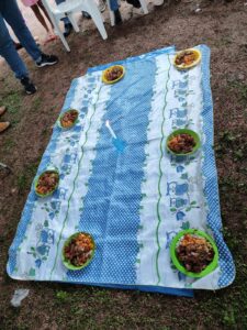 [VÍDEO] Fé e tradição: Conheça o terço de São Lázaro que é celebrado com banquete para cachorros no Tocantins