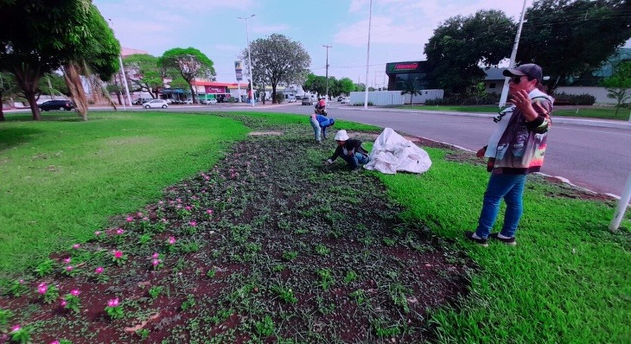 Vereador Josmundo propõe revitalização paisagística na Avenida NS 05, entre as quadras 307 e 405 Norte, em Palmas