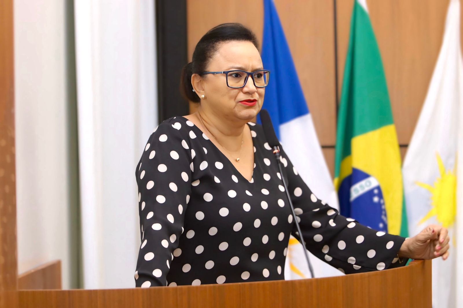 Vereadora Iolanda Castro requer aumento no patrulhamento da Guarda Metropolitana em escolas municipais e CMEIs de Palmas