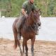 Trágico! Vaqueiro de 22 anos e cavalo morrem após choque elétrico em caminhão durante vaquejada no Tocantins