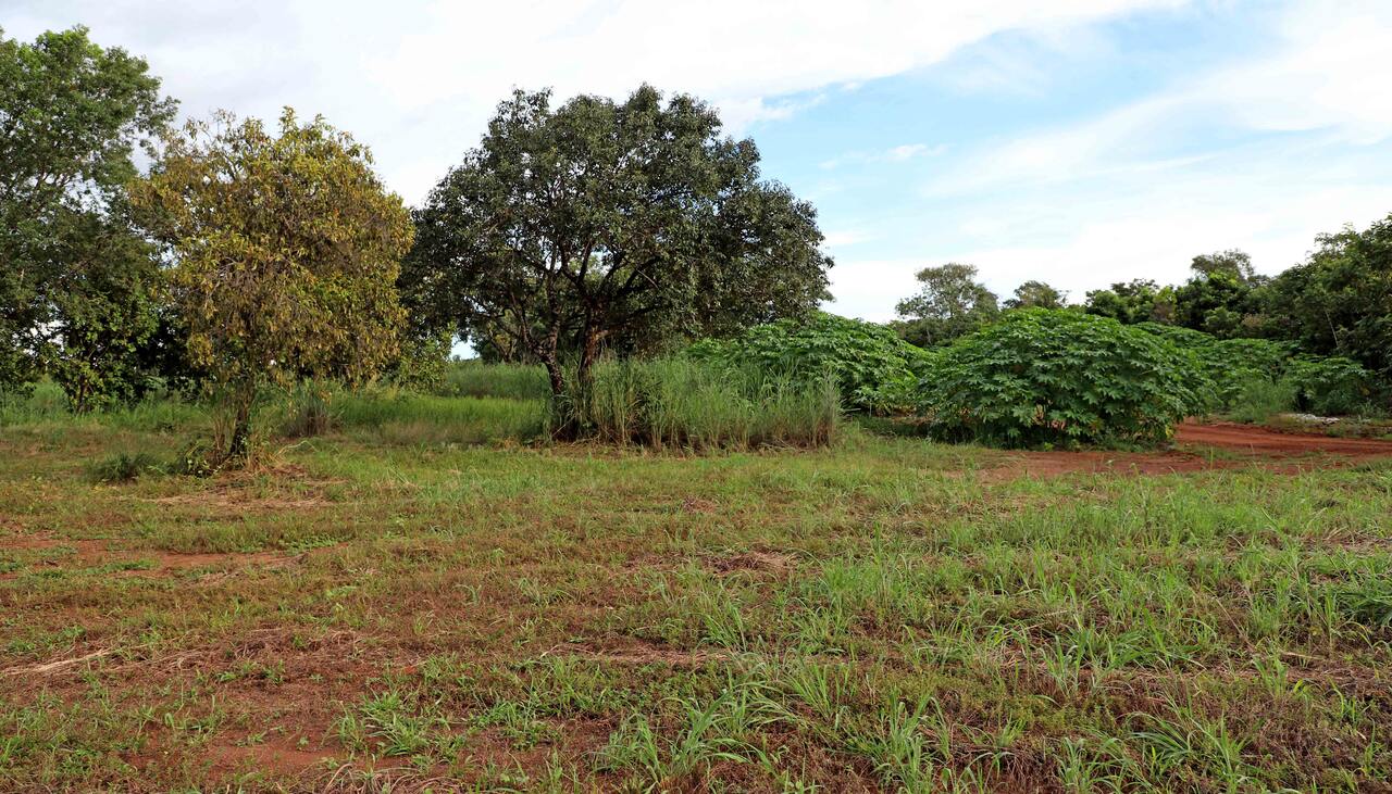 Terreno para construção do Hospital Municipal de Palmas é doado pelo Governo do Tocantins