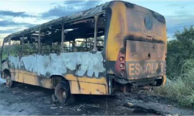 Ônibus escolar fica destruído após pegar fogo na TO-040, em Dianópolis