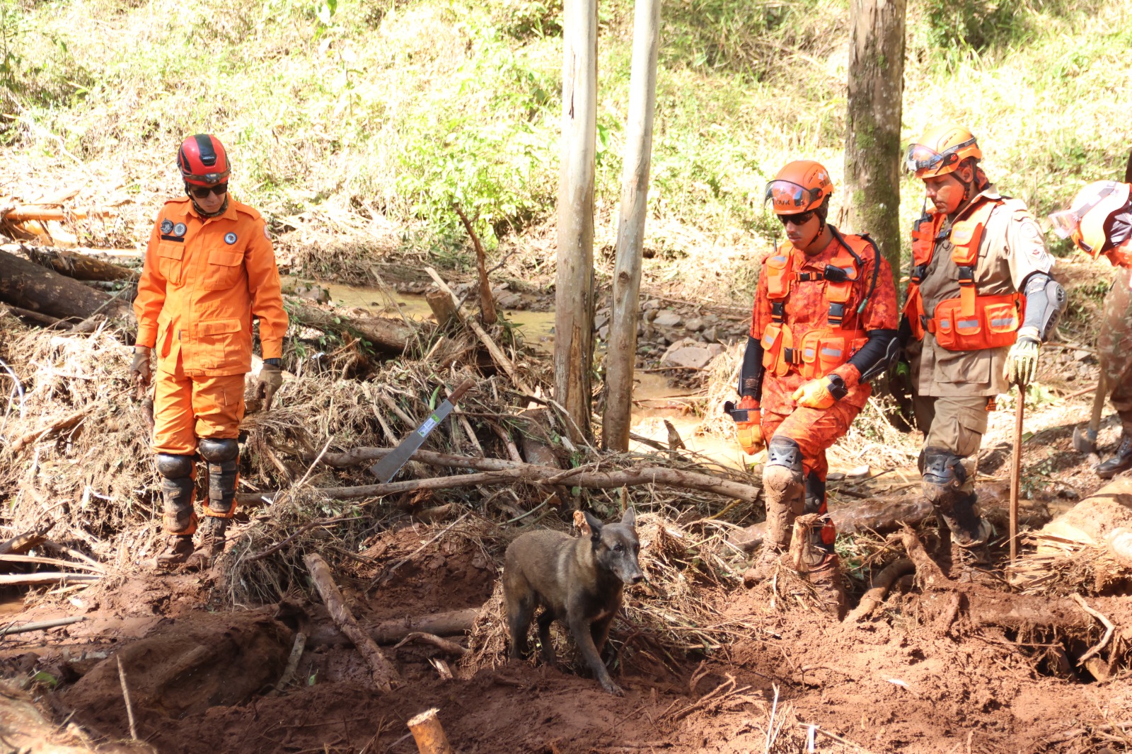 Bombeiros tocantinenses completam duas semanas em missão no Rio Grande do Sul