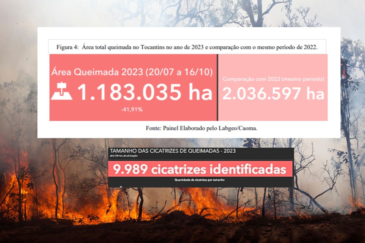 Queimadas no Tocantins impactam terras indígenas e unidades de conservação, aponta relatório do MPTO