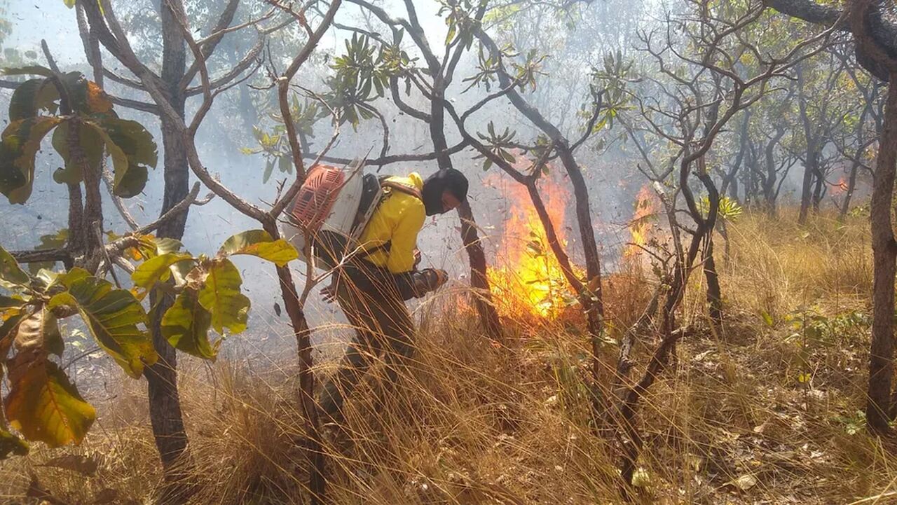 OPORTUNIDADE: Paraíso do Tocantins abre edital para contratação de brigadistas; saiba como se inscrever