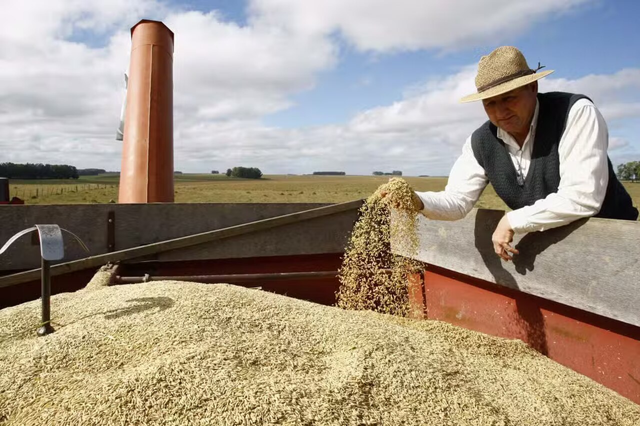 Leilão de arroz é anulado por suspeitas de irregularidades, diz Conab