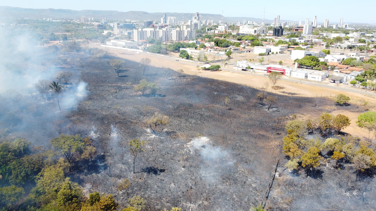 Em Palmas, bombeiros militares e brigadistas combatem incêndio florestal em área de 118 mil metros quadrados