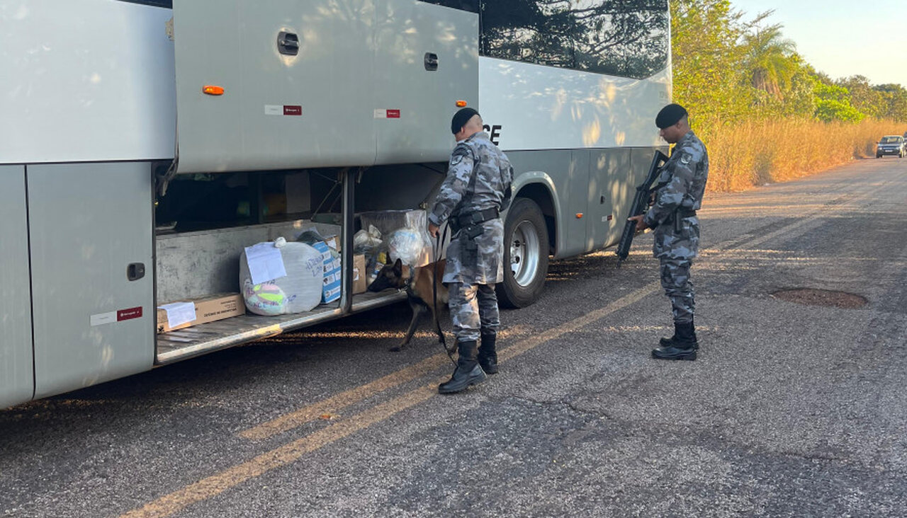 PM intensifica ações contra o narcotráfico em Abreulândia e Dois Irmãos