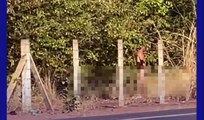 VÍDEO: Homem é flagrado nu próximo à entrada do Aeroporto de Palmas, na região sul