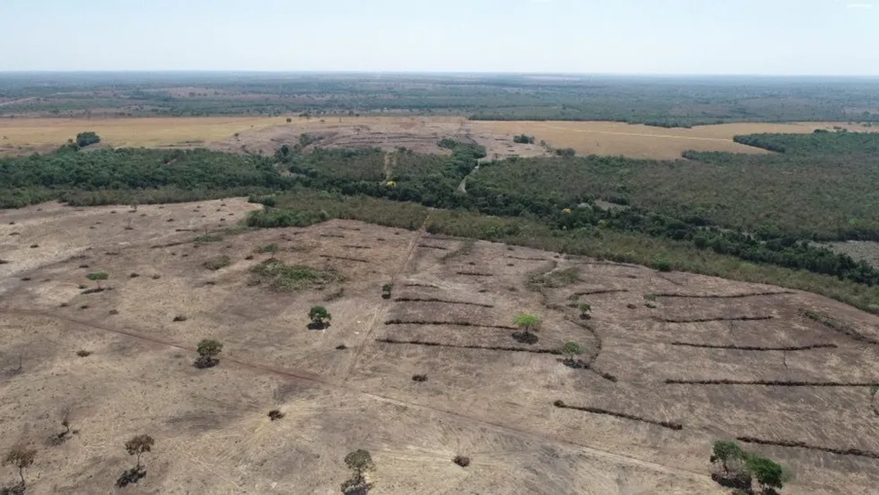 Justiça condena empresa e servidores por desmatamento ilegal em Lagoa da Confusão