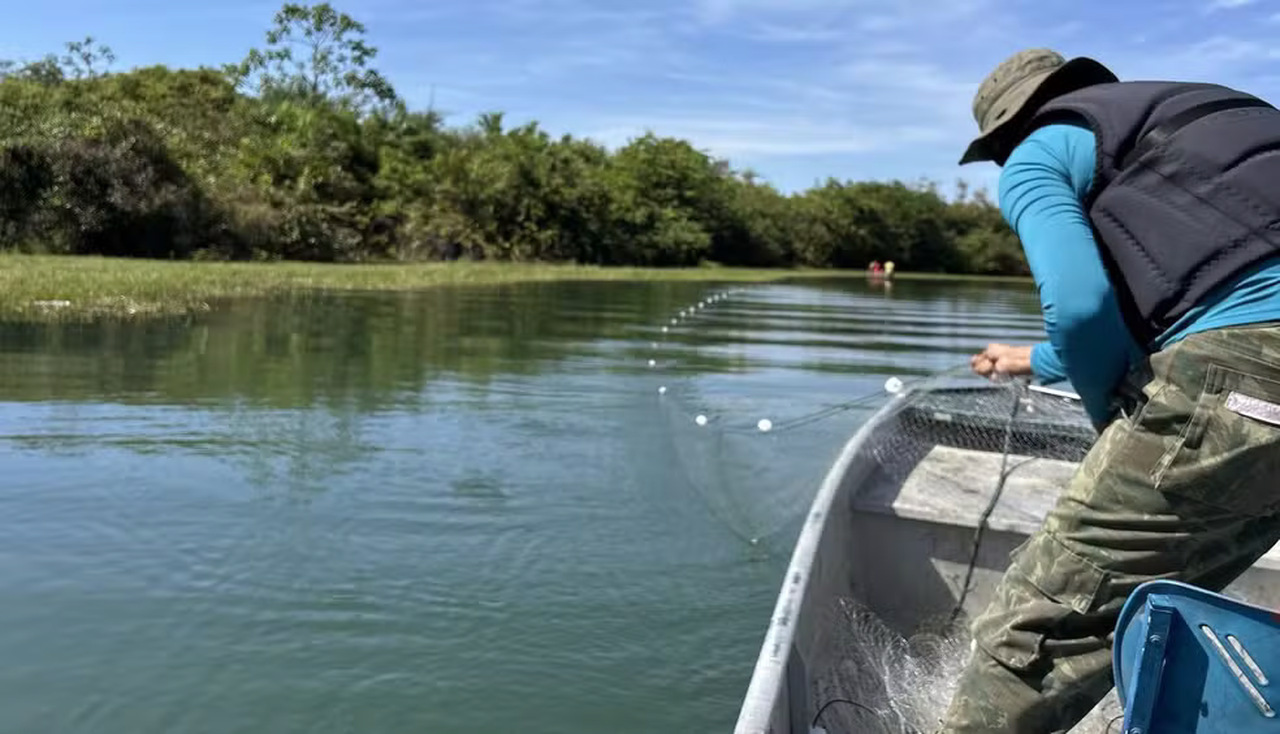 Operação contra a pesca ilegal apreende mais de 2 mil metros de redes no Tocantins e resgata peixes e quelônios