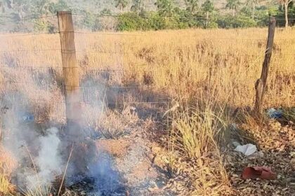 Flagrante na BR-010: homem tenta iniciar incêndio e é preso na zona rural de Palmas; saiba detalhes