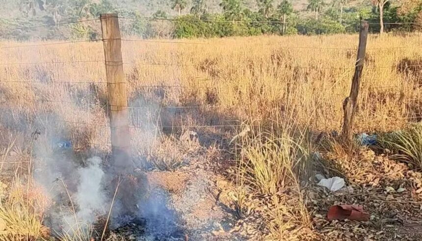 Flagrante na BR-010: homem tenta iniciar incêndio e é preso na zona rural de Palmas; saiba detalhes