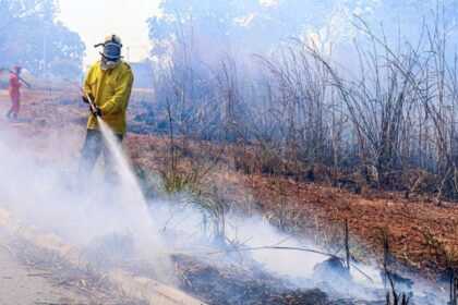 Processo seletivo para contratação emergencial de brigadistas florestais é aberto pelo Governo do Tocantins