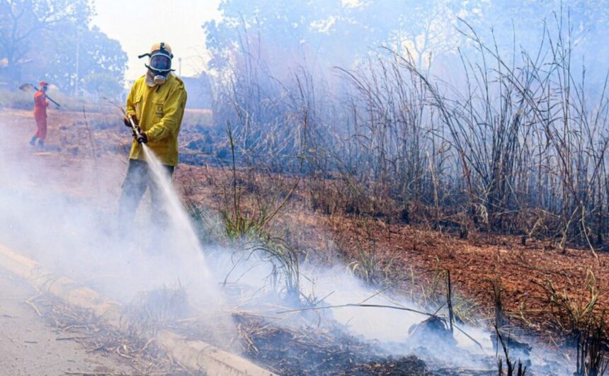 Processo seletivo para contratação emergencial de brigadistas florestais é aberto pelo Governo do Tocantins