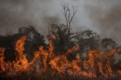 Queimadas no Tocantins: entenda os riscos da fumaça para a saúde respiratória