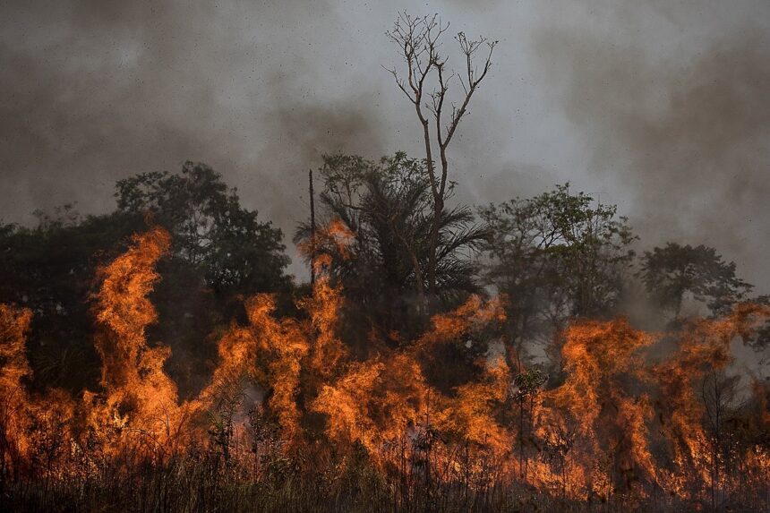 Queimadas no Tocantins: entenda os riscos da fumaça para a saúde respiratória