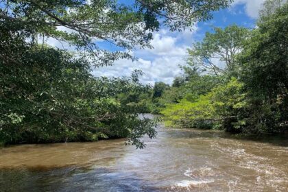 Chuvas de outubro reduzem incêndios no Tocantins e elevam nível dos rios, aponta Boletim Climático