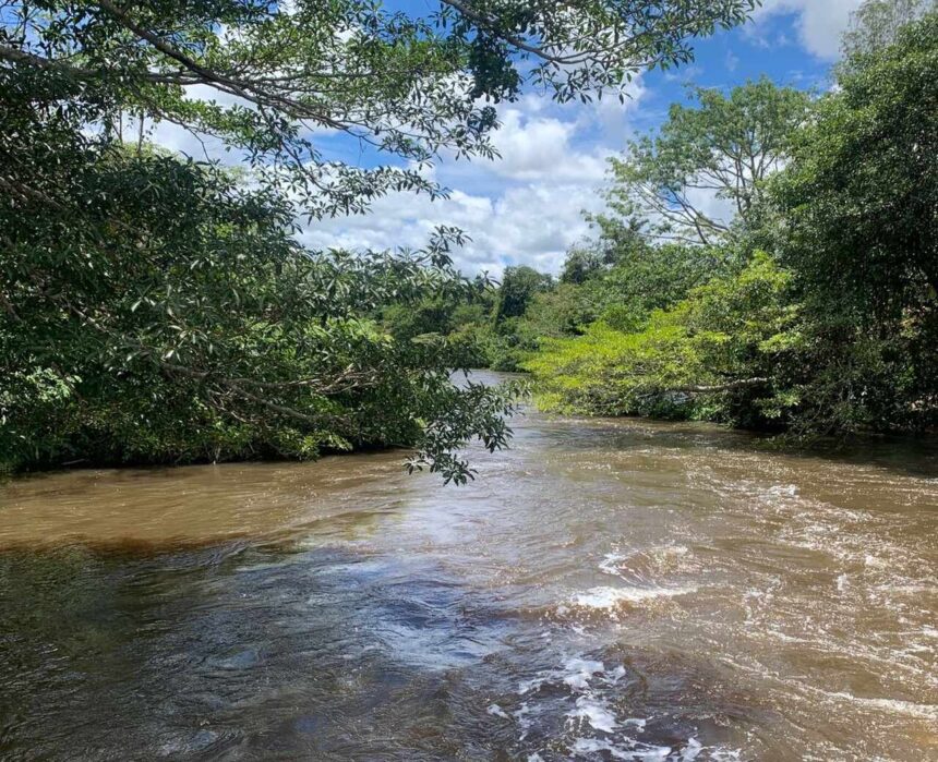 Chuvas de outubro reduzem incêndios no Tocantins e elevam nível dos rios, aponta Boletim Climático