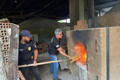 Polícia Civil incinera cerca de 400 kg de maconha e gera prejuízo de R$ 1 milhão ao crime em Dueré