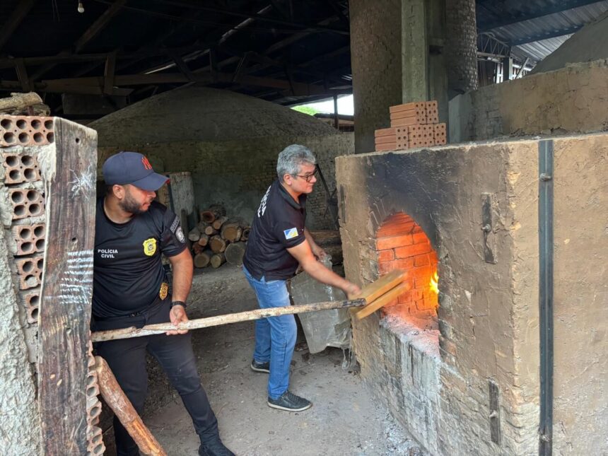 Polícia Civil incinera cerca de 400 kg de maconha e gera prejuízo de R$ 1 milhão ao crime em Dueré