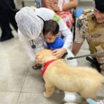 Cães terapêuticos trazem conforto para crianças no Hospital Municipal de Araguaína