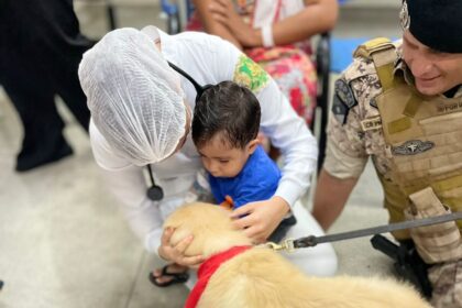 Cães terapêuticos trazem conforto para crianças no Hospital Municipal de Araguaína