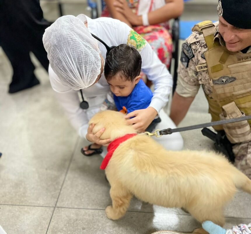 Cães terapêuticos trazem conforto para crianças no Hospital Municipal de Araguaína