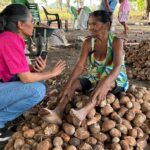 'Somos Raimundas': Exposição fotográfica celebra força e história das quebradeiras de coco no Tocantins