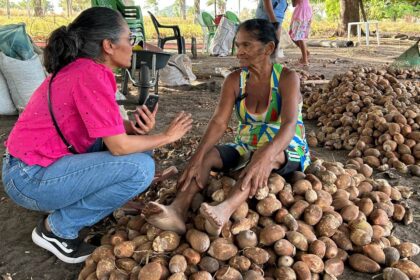 'Somos Raimundas': Exposição fotográfica celebra força e história das quebradeiras de coco no Tocantins