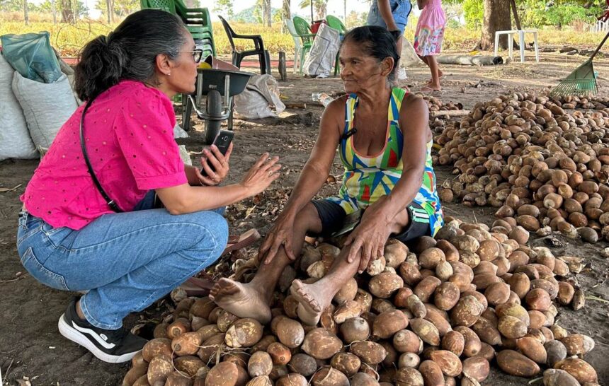 'Somos Raimundas': Exposição fotográfica celebra força e história das quebradeiras de coco no Tocantins