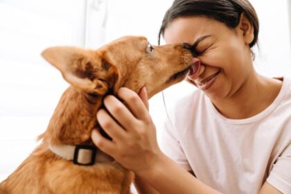 Proteja seu amigo de quatro patas! Ação gratuita de encoleiramento contra Leishmaniose chega à Região Norte de Palmas e Jardim Taquari neste sábado