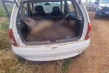 CAÇA ILEGAL: Quatro homens são detidos após serem encontrados com animais silvestres no porta-malas em Araguanã