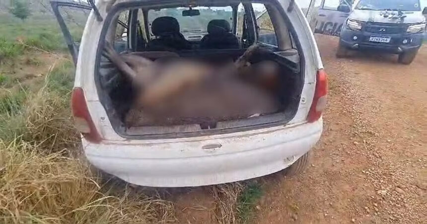 CAÇA ILEGAL: Quatro homens são detidos após serem encontrados com animais silvestres no porta-malas em Araguanã