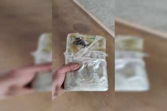 Carga milionária de droga é encontrada em caminhão após ataque que vitimou vigilante em Brasília