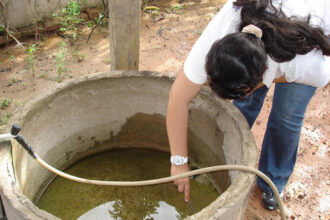 Casos de dengue ultrapassam 4 mil no Tocantins em 2024