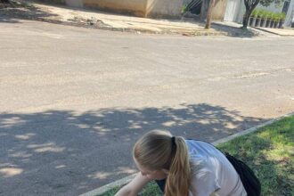 Alerta: Pesquisa revela grande contaminação por parasitas em praças públicas de Palmas