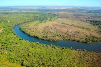 Parque Estadual do Cantão será a primeira área beneficiada pelo projeto de restauração no Tocantins, anuncia governador Wanderlei Barbosa