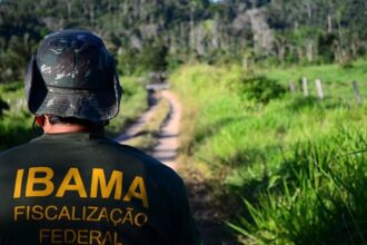 Oportunidade: Ibama abre concurso com 59 vagas no Tocantins e salários de R$ 9,9 mil; saiba detalhes
