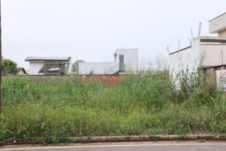 Terrenos sujos em Palmas podem gerar multas e custos no IPTU, alerta prefeitura
