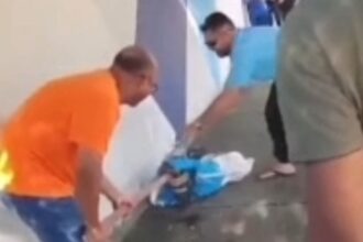SUSTO! Sucuri de dois metros se esconde em moto e assusta funcionários de escola em Peixe
